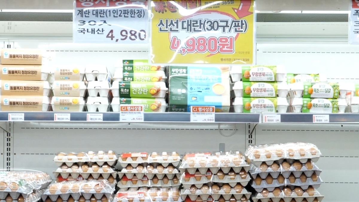 계란 1판에 5000원도 안 하는 ‘이곳’은 어디? [비쌀 이유 없잖아요]