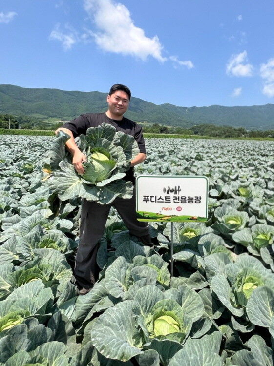 푸디스트, 못난이 농산물 456톤 매입…농가·고객과 상생 모델 구축